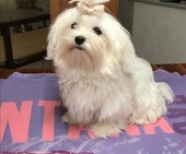 Wanda_6_Monate_32_-_1.jpg