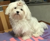 Wanda_6_Monate_7_-_1.jpg