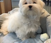 Zeus_4_Monate_36_-_1.jpg
