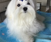 Zeus_8_Monate_14_-_1.jpg