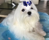 Zeus_8_Monate_20_-_1.jpg