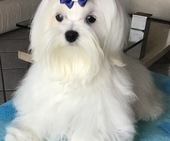 Zeus_8_Monate_35_-_1.jpg