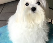 Zeus_8_Monate_41_-_1.jpg