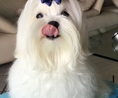 Zeus_8_Monate_48_-_1.jpg