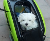 Aiko_3_Monate_1_1.jpg
