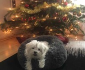 Lucy_Wein2_-_1.jpg