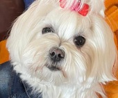 Mavie_7_-_1.jpg